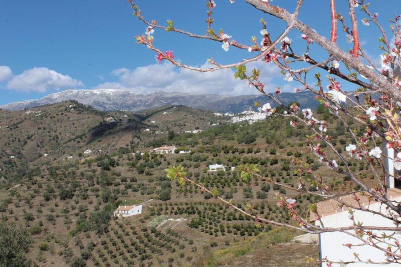 Sayalonga Fuentezuelas Pool Villa מראה חיצוני תמונה